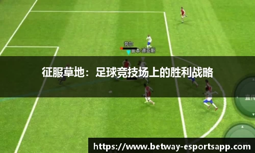 征服草地：足球竞技场上的胜利战略